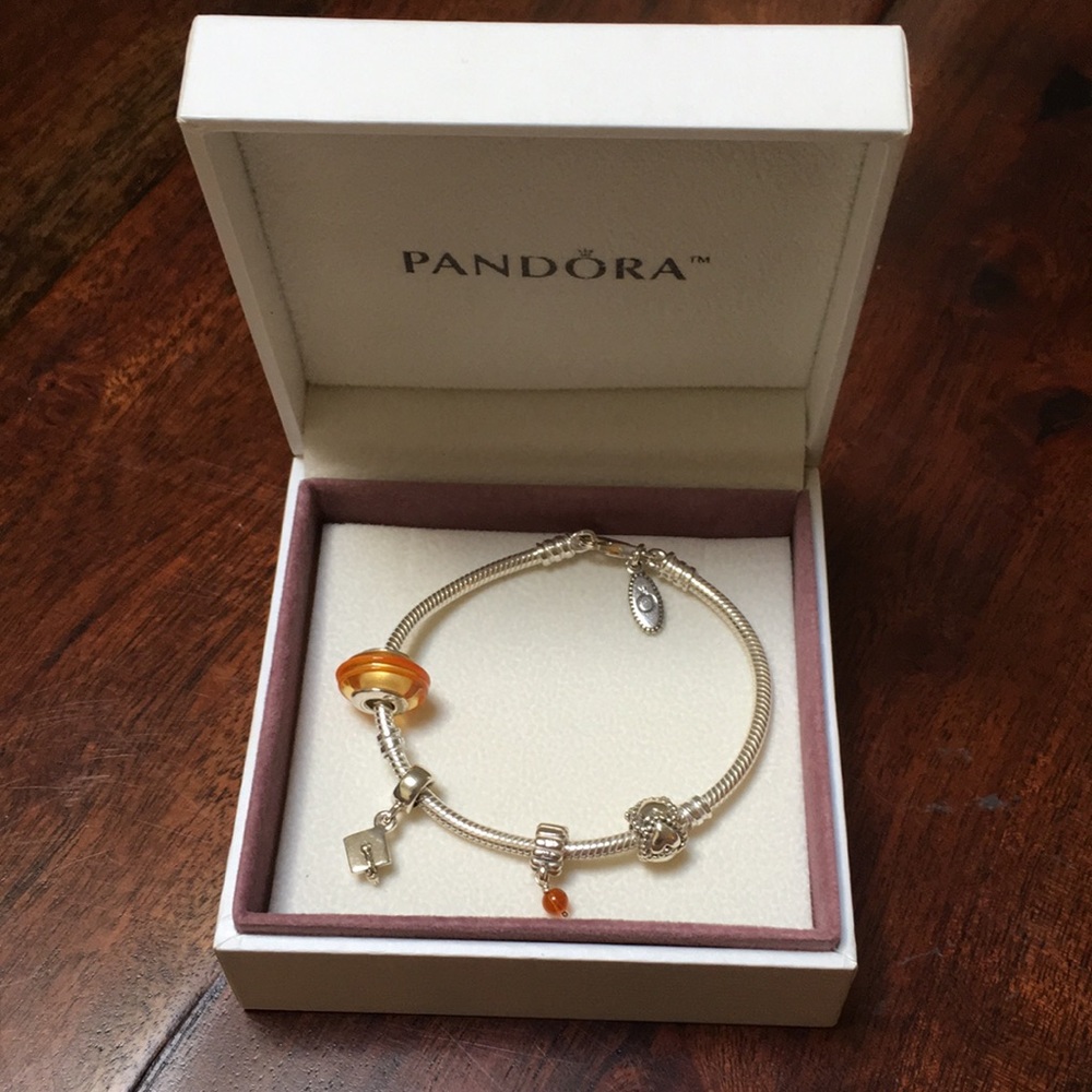 NEW Pandora Charm Bracelet